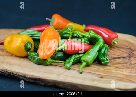chili-Pfeffer, Paprika (Capsicum annuum), verschiedene Paprika und Chili-Paprika auf einem Holzbrett Stockfoto