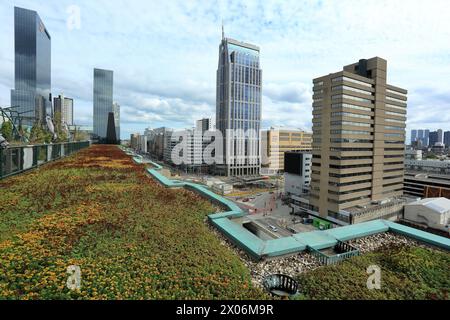 Bürogebäude mit begrünten Dächern, Niederlande, Rotterdam Stockfoto