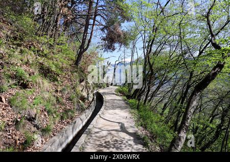 Marling, Südtirol, Italien 07. April 2024: Ein Frühlingstag bei Marling, hier am Marlinger Waalweg bei Meran. Hier der Blick auf den Wanderweg, Tourismus, wandern, spazieren, Ausblick, Panorama, wärme Stockfoto