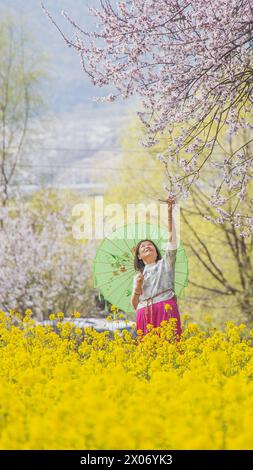 Lhasa, Chinas autonome Region Xizang. März 2024. Ein Tourist posiert für Fotos zwischen Pfirsichblüten in einem Dorf in Nyingchi, südwestchinesischer Autonomen Region Xizang, 29. März 2024. Quelle: Tenzin Nyida/Xinhua/Alamy Live News Stockfoto