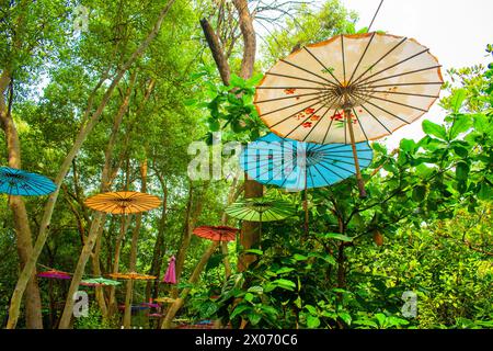 Bunte Sonnenschirme hängen an den Bäumen, Mangrove Ecotourism Centre PIK, Jakarta, Indonesien Stockfoto