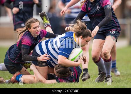 Englisches Amateur-Rugby-union-Frauenspiel. Stockfoto