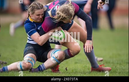 Englisches Amateur-Rugby-union-Frauenspiel. Stockfoto