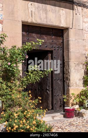 Verwitterte Holztür mit blühenden Blumen und einem roten Eimer in einer Steinmauer. Stockfoto