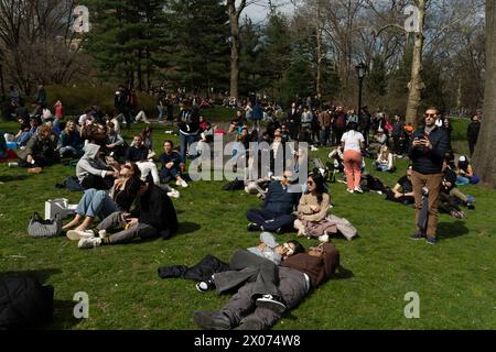 Paare können die Sonnenfinsternis von 2024 mit ihrem anderen im Central Park beobachten. Stockfoto