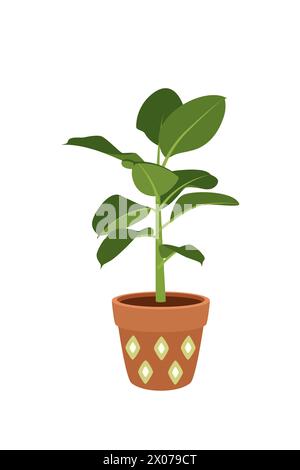 Eine Zimmerpflanze in einem Topf. Ficus. Garten im Haus. Vektor. Stock Vektor