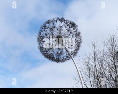 Löwenzahn-Uhr aus Stahldraht Stockfoto