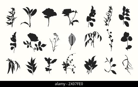 Botanische Blumensilhouetten Set Handgezeichnete Pflanzen Stock Vektor