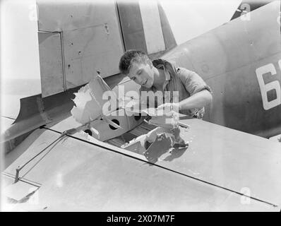 ÜBERRASCHUNGSANGRIFF AUF DIE ANDAMANEN. 21. JUNI 1944, AN BORD DER HMS ILLUSTROUS, MIT DER OSTFLOTTE. NACH DEM ERFOLGREICHEN LUFTANGRIFF AUF PORT BLAIR AUF DEN ANDAMANEN INSELN. - Sub Lieut (A) John R Baker, RCNVR, aus Toronto, Kanada, sah sich das Loch an, das ein japanischer Panzer im Aufzug seines Chance-Vought Corsair-Kämpfers riss Stockfoto