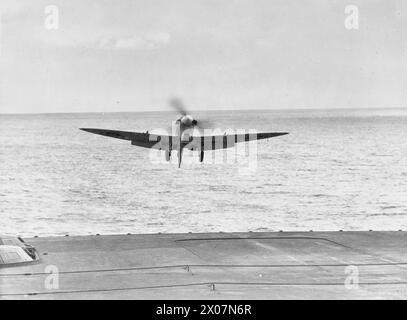 LUFTWAFFENVERSUCHE DER FLOTTE, AN BORD DER HMS SIEGREICH. 23-25. SEPTEMBER 1942. - Ein Seafire landet auf dem Cockpit Stockfoto