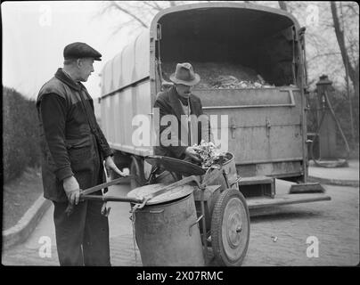 KÜCHENABFÄLLE IN VIEHFUTTER: BERGUNG AN DER BRITISCHEN HEIMATFRONT, 1942 - Bergungsarbeiter überprüfen die in ihrem Müllwagen gesammelten Haushaltsabfälle, bevor sie sie in den großen Staubwagen hinter ihnen transportieren Stockfoto