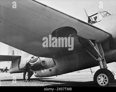 US-FLUGZEUGE FÜR DEN LUFTWAFFENARM DER BRITISCHEN FLOTTE. OKTOBER 1943, ROOSEVELT FIELD, LONG ISLAND, NEW YORK. DIE FLOTTENFLOTTE DER ROYAL NAVY SETZT DIE NEUESTEN FLUGZEUGTYPEN EIN, DIE IN DEN USA GEBAUT WURDEN. EINIGE DER FLUGZEUGE, DIE SICH IN DER PRÜFUNG, VERPACKUNG UND VERSAND AUS DEN USA BEFINDEN. - Ich suche einen Grumman Tarpon für die Royal Navy Stockfoto