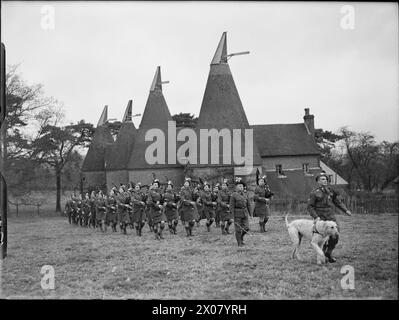 Die Pipe Band of the London Irish Rifles marschiert mit ihrem Irish Wolfhound Maskottchen in der Nähe von Tunbridge Wells, Kent, am 31. Dezember 1940. Stockfoto