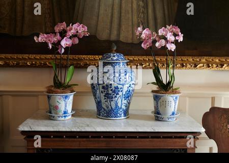 Phalaenopsis-Orchideen in antiker japanischer Vase Stockfoto