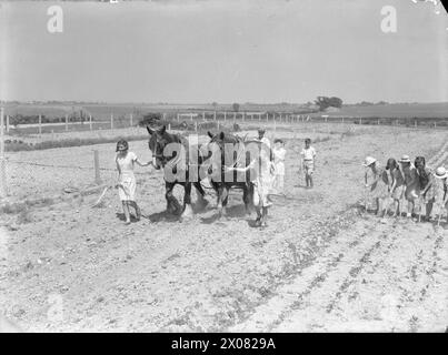 BILDUNG UND LANDWIRTSCHAFT AN DER ASHWELL MERCHANT TAYLORS SCHOOL in DER NÄHE VON BALDOCK, HERTFORDSHIRE, ENGLAND, 1942 – Jean Harwell (links) und Alice Norman führen die Pferde Daisy und Captain an einem Ort der leichten Unruhe an ihrer Schule in Ashwell, nördlich von Baldock in Hertfordshire. Zwei weitere Kinder und der Bauer, von dem die Pferde ausgeliehen wurden, folgen dahinter und genießen den Sonnenschein, während sie die Egge beobachten. Rechts neben dem Foto macht eine Gruppe von fünf Mädchen einen Hacken Stockfoto