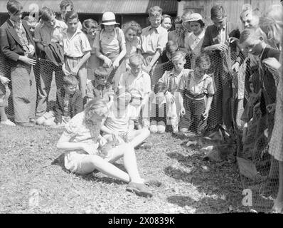 BILDUNG UND LANDWIRTSCHAFT AN DER ASHWELL MERCHANT TAYLORS SCHOOL in DER NÄHE VON BALDOCK, HERTFORDSHIRE, ENGLAND, 1942 - Mädchen an der Ashwell Merchant Taylors School in der Nähe von Baldock kümmern sich um ihre belgischen Hasen, während andere Schüler hinter einem Hühnerdrahtzaun zuschauen. Die Haltung dieser Hasen ist Teil der landwirtschaftlichen Tätigkeit der Schule während des Krieges, die, wie der Originalüberschrift zufolge, den Anbau von 4 Hektar Land und die Haltung der eigenen Schweine, Schafe und Ziegen umfasst Stockfoto