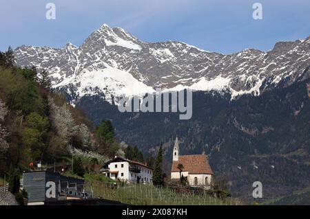 Marling, Südtirol, Italien 07. April 2024: Ein Frühlingstag bei Marling, hier am Marlinger Waalweg bei Meran. Hier der Blick vom Wallweg auf das Kirchlein, St.Felix und dem mächtigen Tschigat Texelgruppe im Hintergrund, Tourismus, wandern, spazieren, Ausblick, Panorama, wärme *** Marling, Südtirol, Italien 07 April 2024 Ein Frühlingstag bei Marling, hier auf dem Marlinger Waalweg bei Meran hier der Blick vom Wallweg auf die kleine Kirche, St Felix und die mächtige Tschigat Texel Gruppe im Hintergrund, Tourismus, Wandern, Wandern, Aussicht, Panorama, Wärme Stockfoto