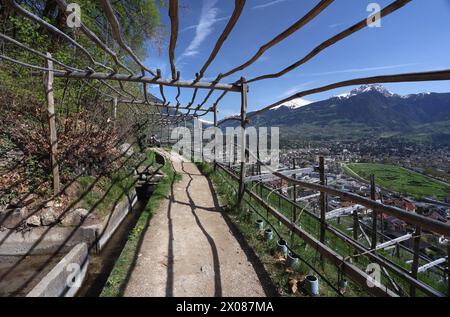 Marling, Südtirol, Italien 07. April 2024: Ein Frühlingstag bei Marling, hier am Marlinger Waalweg bei Meran. Hier der Blick auf den Wanderweg, Tourismus, wandern, spazieren, Ausblick, Panorama, wärme, Pergel, Holz *** Marling, Südtirol, Italien 07 April 2024 Ein Frühlingstag bei Marling, hier am Marlinger Waalweg bei Meran hier der Blick auf den Wanderweg, Tourismus, Wandern, Wandern, Wandern, Aussicht, Panorama, Wärme, Perle, Holz Stockfoto