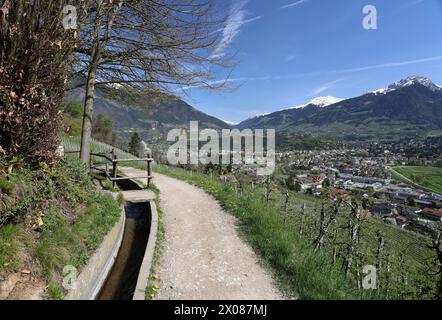 Marling, Südtirol, Italien 07. April 2024: Ein Frühlingstag bei Marling, hier am Marlinger Waalweg bei Meran. Hier der Blick auf blühende Apfelbäume, Blüte, Obstwiese, Apfelblüte, Blütenmeer, Duft, Geruch, Tourismus, wandern, spazieren, Ausblick, Panorama, wärme *** Marling, Südtirol, Italien 07 April 2024 Ein Frühlingstag bei Marling, hier auf dem Marlinger Waalweg bei Meran hier der Blick auf blühende Apfelbäume, Blüten, Obstgärten, Apfelblüten, Blütenmeer, Geruch, Geruch, Tourismus, Wandern, Wandern, Wandern, Aussicht, Panorama, Wärme Stockfoto