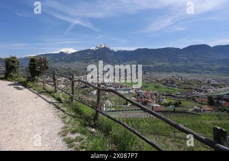 Marling, Südtirol, Italien 07. April 2024: Ein Frühlingstag bei Marling, hier am Marlinger Waalweg bei Meran. Hier der Blick auf blühende Apfelbäume, Blüte, Obstwiese, Apfelblüte, Blütenmeer, Duft, Geruch, Tourismus, wandern, spazieren, Ausblick, Panorama, wärme, Meraner Talkessel,Zaun *** Marling, Südtirol, Italien 07 April 2024 Ein Frühlingstag bei Marling, hier am Marlinger Waalweg bei Meran hier der Blick auf blühende Apfelbäume, Blüten, Obstgärten, Apfelblüten, Blütenmeer, Geruch, Geruch, Tourismus, Wandern, Wandern, Wandern, Aussicht, Panorama, Wärme, Meraner Becken, Zaun Stockfoto