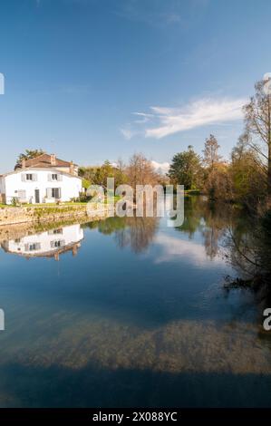 Fluss „Sevre Niortaise“ im Dorf Magne, Deux-Sevres (79), Region Nouvelle-Aquitaine, Frankreich Stockfoto