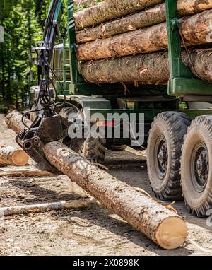 Tragbarer Kran auf einem Holzfäller. Forstwirtschaftliche Traktoren, Lkws und Holzfäller Maschinen. Forstindustrie. Fällen von Bäumen, Fällen von Bäumen. Lkw, der Holz verlädt Stockfoto