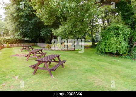 Leere hölzerne Picknicktische auf Gras in einem Park an einem sonnigen Sommermorgen Stockfoto