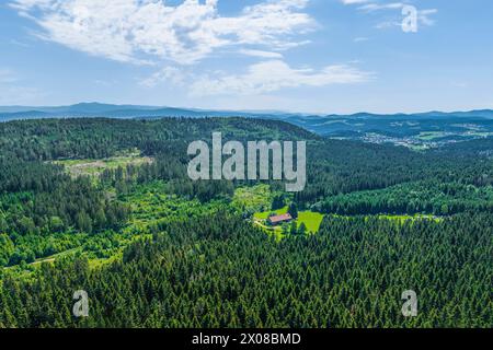 Blick auf den Vorderen Bayerischen Wald rund um den Geißkopf nahe Bischofsmais im Sommer der Bikepark am Geißkopf im Bayerwald nahe Bischofsmais im Lu Stockfoto