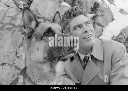 Aktuell 9. - 8. - 1973: Norwegens neuer Film starDer Polizeihund Faiko hat große Erfolge als Filmstar bei der Dreharbeiten zu Jack Londons Buch When the Wild Beast Wakes Up. Sein Co-Star in dem Film ist Charlton Heston. Faiko erhielt die besten Bewertungen. Er ist keine Prima-donna geworden. Die Pfoten sind auf dem Boden. Der Hund gehört dem Polizisten Olav Pedersen, der auch eine kleine Rolle im Film als Red Sweater spielte. „Von all den zusätzlichen Rollen musste ich natürlich diese bekommen“, sagt Pedersen, der im Film mit einem Stock als Tiermissbraucher fungiert. Foto: Odd Ween / aktuell / NTB ***FOTO N Stockfoto