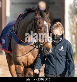 Zweites Rennen in Wincanton 26. Januar 2022 Stockfoto