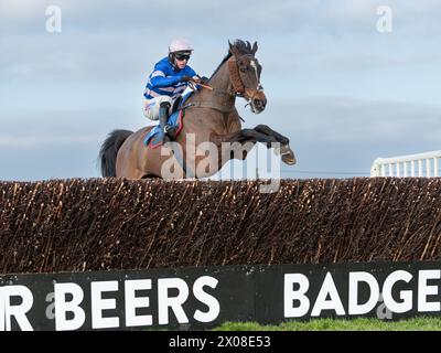 Zweites Rennen in Wincanton 26. Januar 2022 Stockfoto