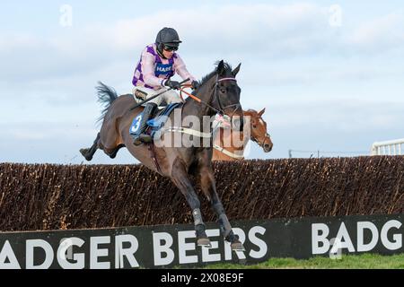 Zweites Rennen in Wincanton 26. Januar 2022 Stockfoto