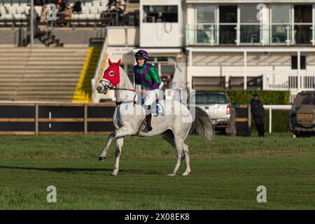 Drittes Rennen in Wincanton, 26. Januar 2022 Stockfoto