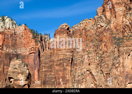 Der Tempel von Sinawava im Zion National Park in Utah, der Beginn der flussaufwärts gelegenen Wanderung durch den Virgin River und die Narrows Wanderung. Stockfoto