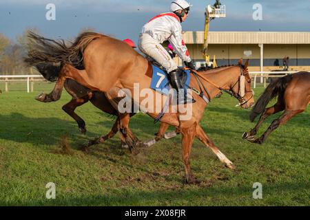 Viertes Rennen in Wincanton, 26. Januar 2022, Steeplechase Stockfoto