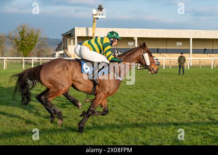 Viertes Rennen in Wincanton, 26. Januar 2022, Steeplechase Stockfoto