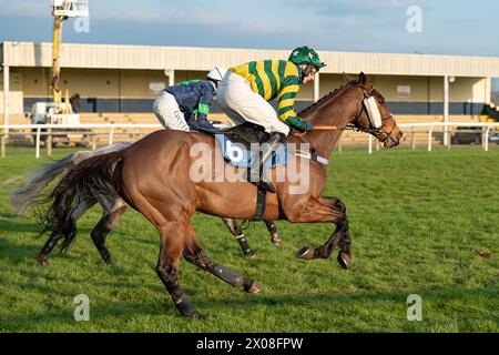 Viertes Rennen in Wincanton, 26. Januar 2022, Steeplechase Stockfoto