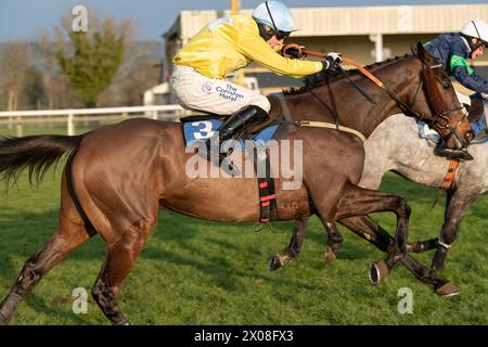 Viertes Rennen in Wincanton, 26. Januar 2022, Steeplechase Stockfoto
