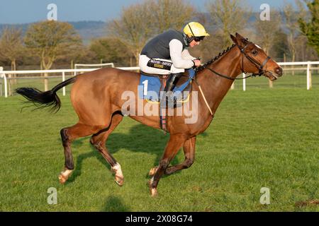 Viertes Rennen in Wincanton, 26. Januar 2022, Steeplechase Stockfoto