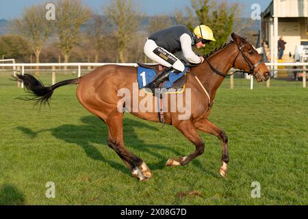 Viertes Rennen in Wincanton, 26. Januar 2022, Steeplechase Stockfoto