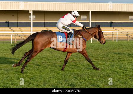 Viertes Rennen in Wincanton, 26. Januar 2022, Steeplechase Stockfoto