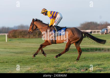 Sechstes Rennen in Wincanton, 26. Januar 2022, Anfängerhürde Stockfoto