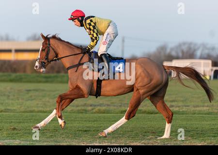 Sechstes Rennen in Wincanton, 26. Januar 2022, Anfängerhürde Stockfoto