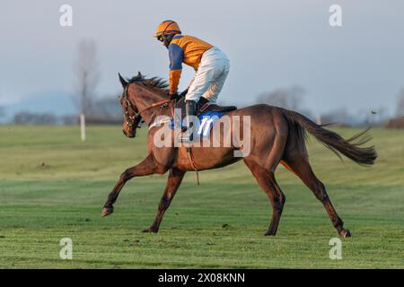 Sechstes Rennen in Wincanton, 26. Januar 2022, Anfängerhürde Stockfoto