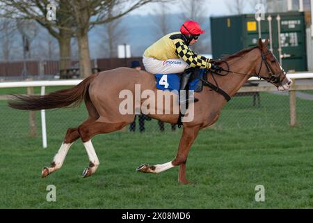 Sechstes Rennen in Wincanton, 26. Januar 2022, Anfängerhürde Stockfoto