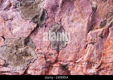 Eine Nahaufnahme von Quarz- und Kieselsäure-Felsen, die die einzigartigen und schönen Nickelformationen in verschiedenen Farbtönen zeigen Stockfoto
