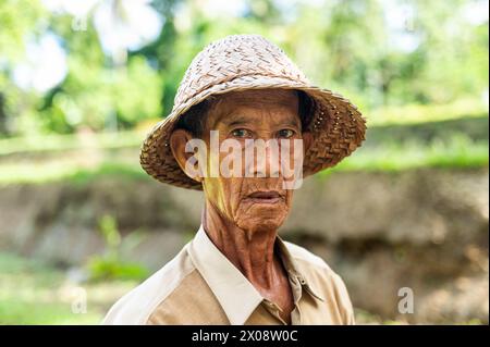 Ein älterer balinesischer Mann mit einem traditionellen gewebten Hut steht vor einem üppigen Reisfeld in Bali, Indonesien, was das ländliche Leben und das kulturelle Erbe symbolisiert Stockfoto
