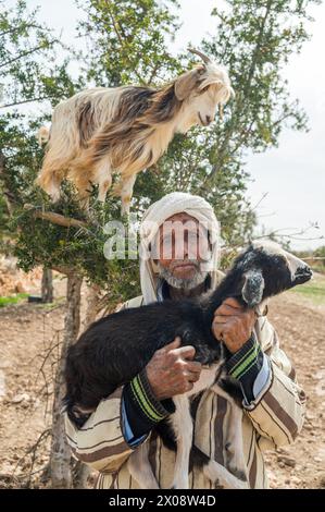 Ein marokkanischer Mann in traditioneller Kleidung hält eine junge Ziege mit einer anderen Ziege auf einem Baum über ihm Stockfoto