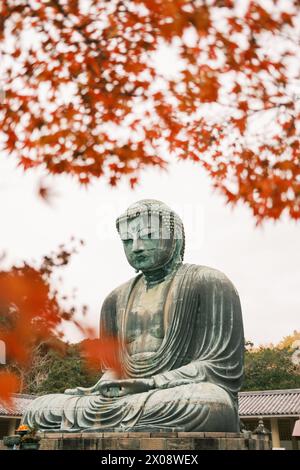 Die berühmte große Buddha-Statue in Kamakura, Japan, umrahmt von lebhaften Herbstblättern Stockfoto