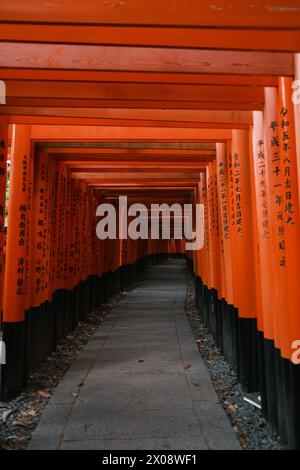 Ein ruhiger Pfad gesäumt von traditionellen orangen Torii-Toren, jedes mit japanischen Schriftzeichen versehen, die ikonisch für Shinto-Schreine in Japan sind Stockfoto